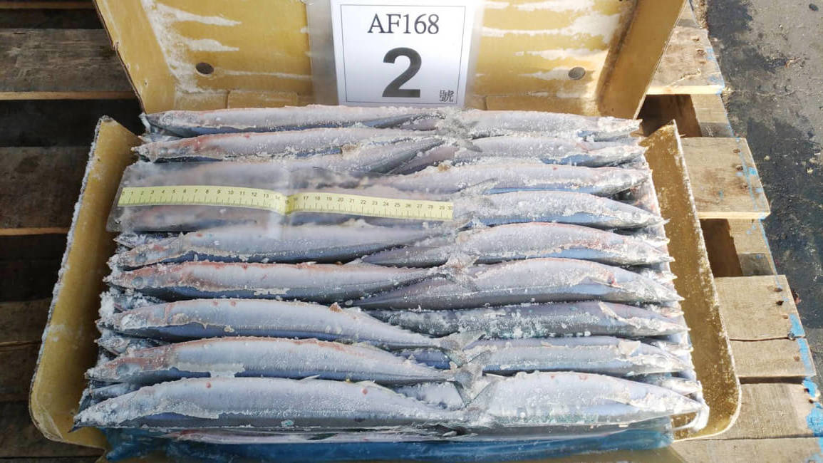 2017。秋刀魚size2_171206_0013-e1513589143158.jpg